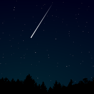 看老太太热B视频
